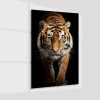 Plexiglas4_23002-Tiger on black-Animals