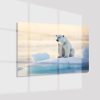 Plexiglas4_23050-Polar bear on ice-Animals