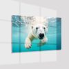 Plexiglas4_23051-Polar bear swimming-Animals