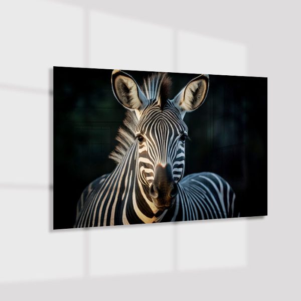 Plexiglas4_23052-Zeebra-Animals