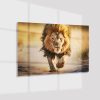 Plexiglas4_23056-Running lion-Animals
