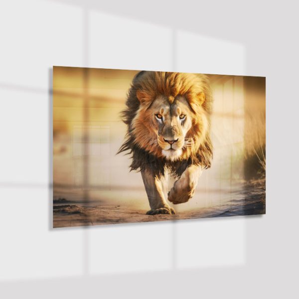 Plexiglas4_23056-Running lion-Animals