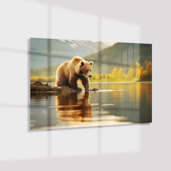 Plexiglas4_23059-Bear by lake-Animals