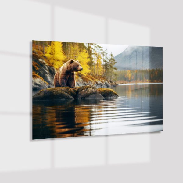 Plexiglas4_23060-Bear by lake-Animals