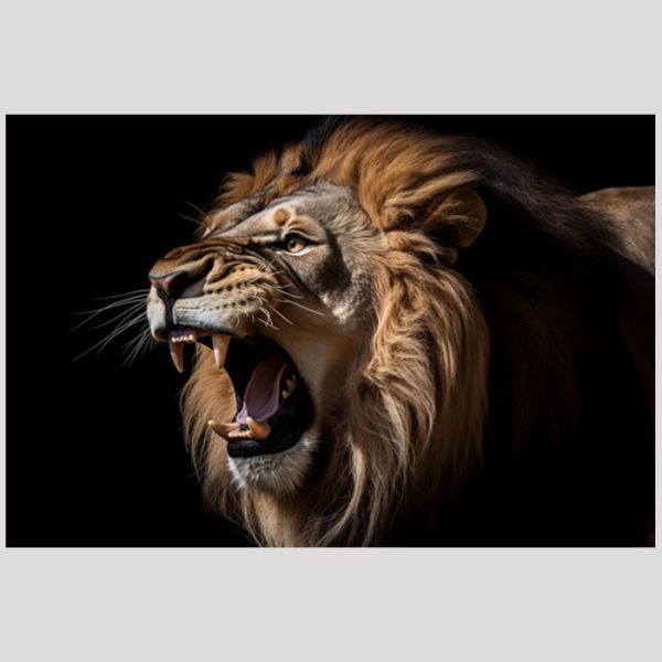 vierkant_23001-Lion on black-Animals