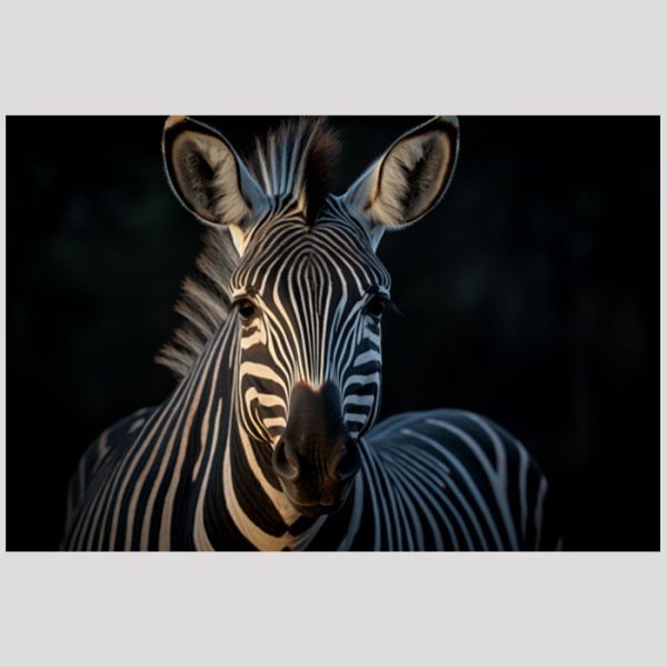 vierkant_23052-Zeebra-Animals