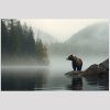 vierkant_23058-Bear by lake-Animals